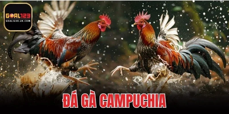 Đá Gà Campuchia