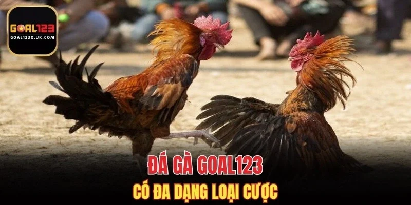 Đá gà GOAL123 có đa dạng loại cược